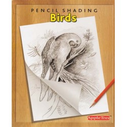 Pencil Shading - Birds